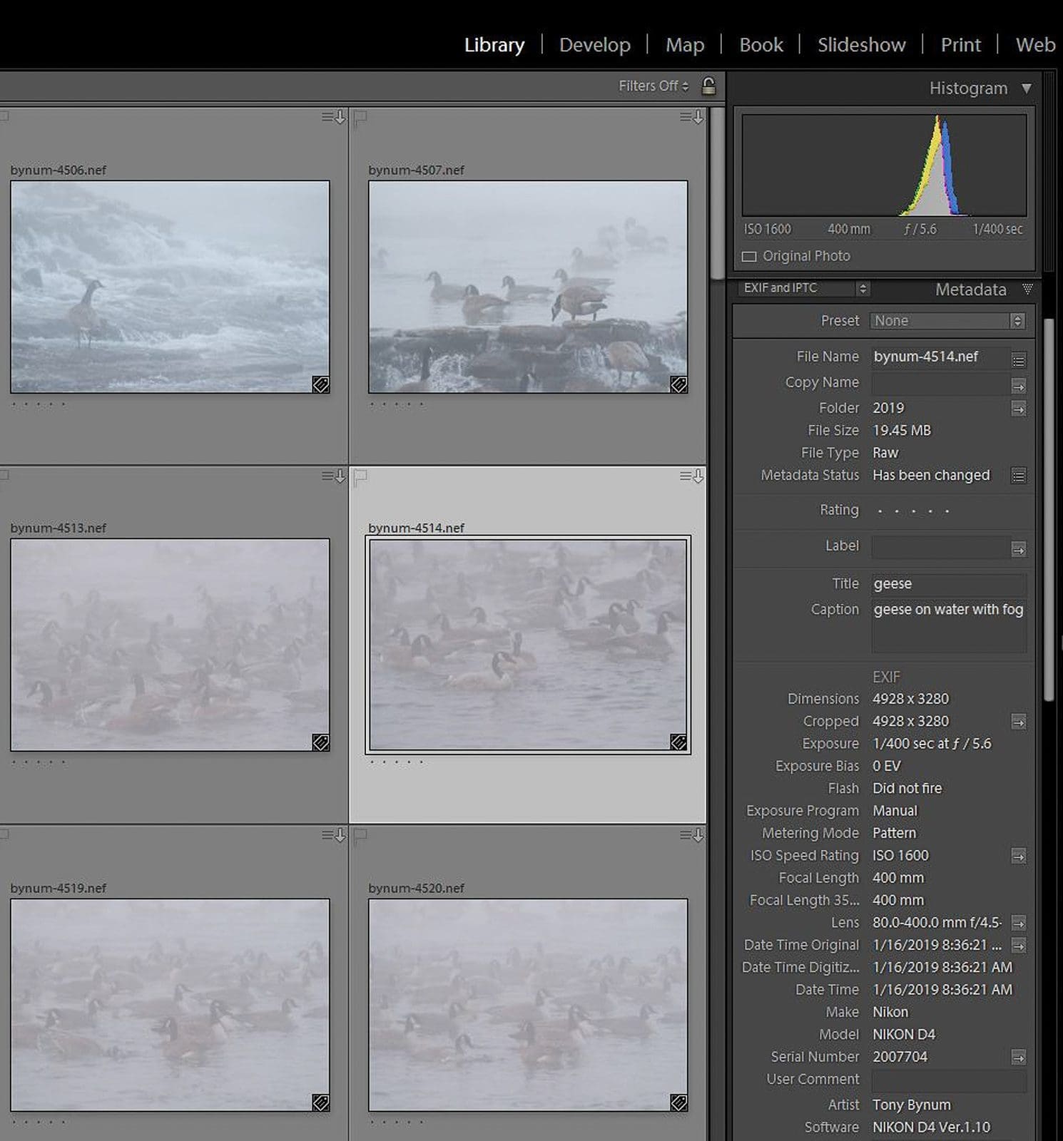 Lightroom's library where you do your photo organization