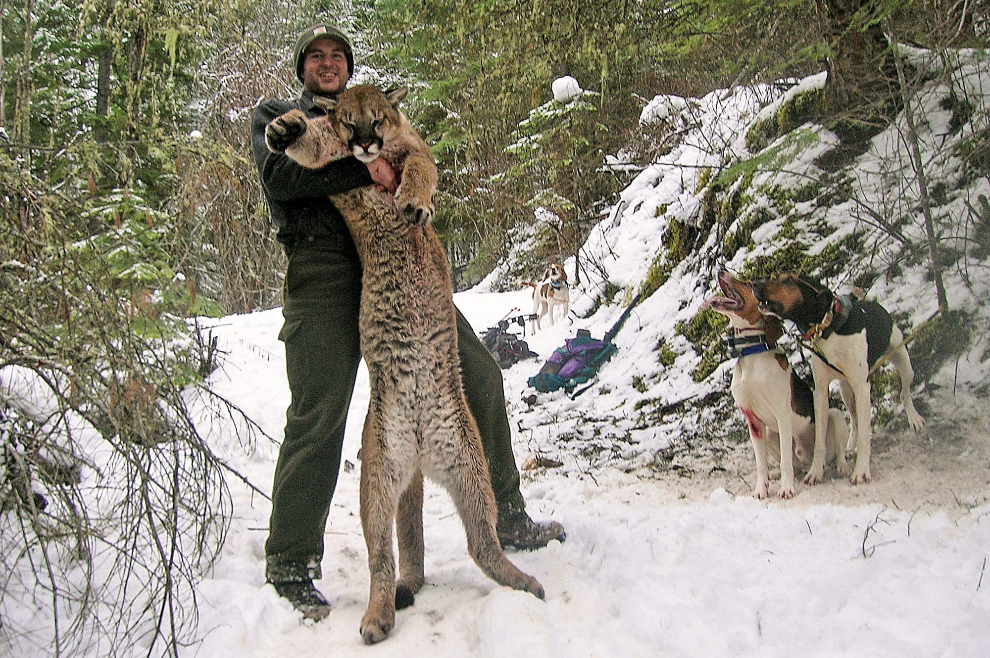 Kyle Greene with a nice tom he got while mountain lion hunitng. 