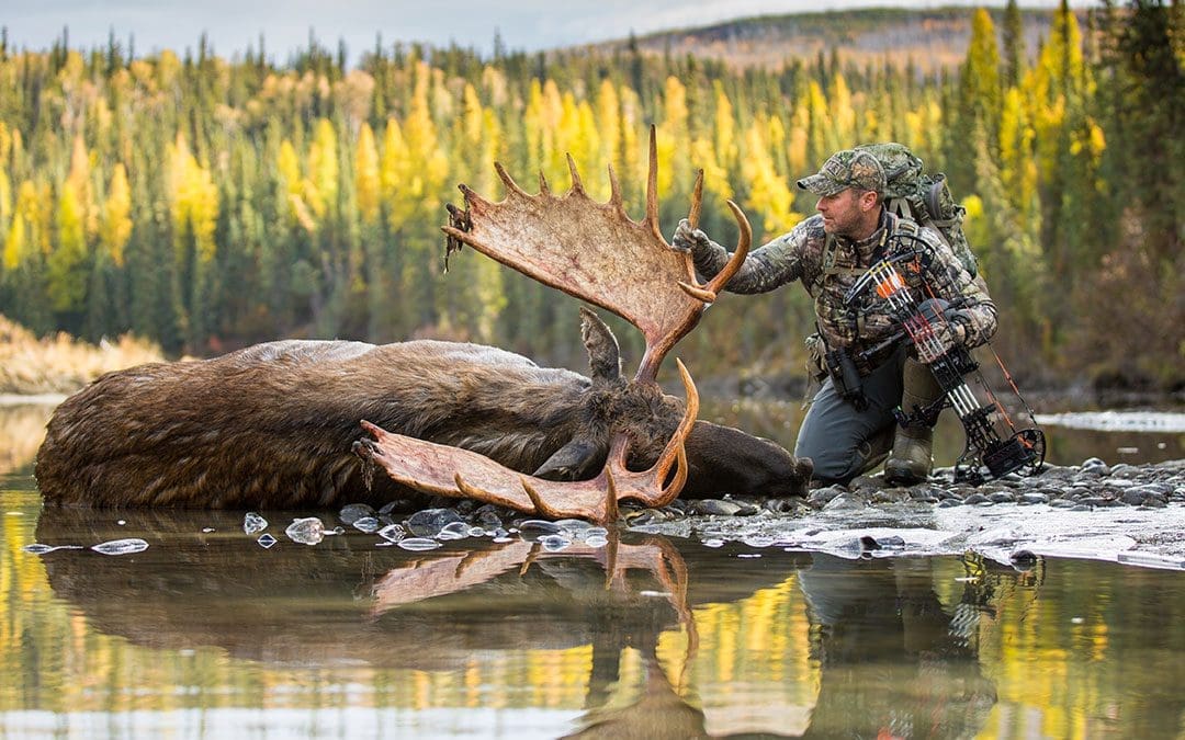 A hunter who successfully harvested a bull moose with a Mathews Vertix