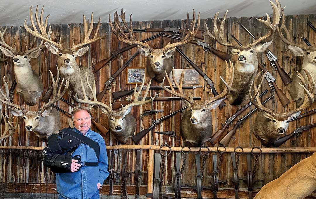 Colorado Mule Deer in 2021