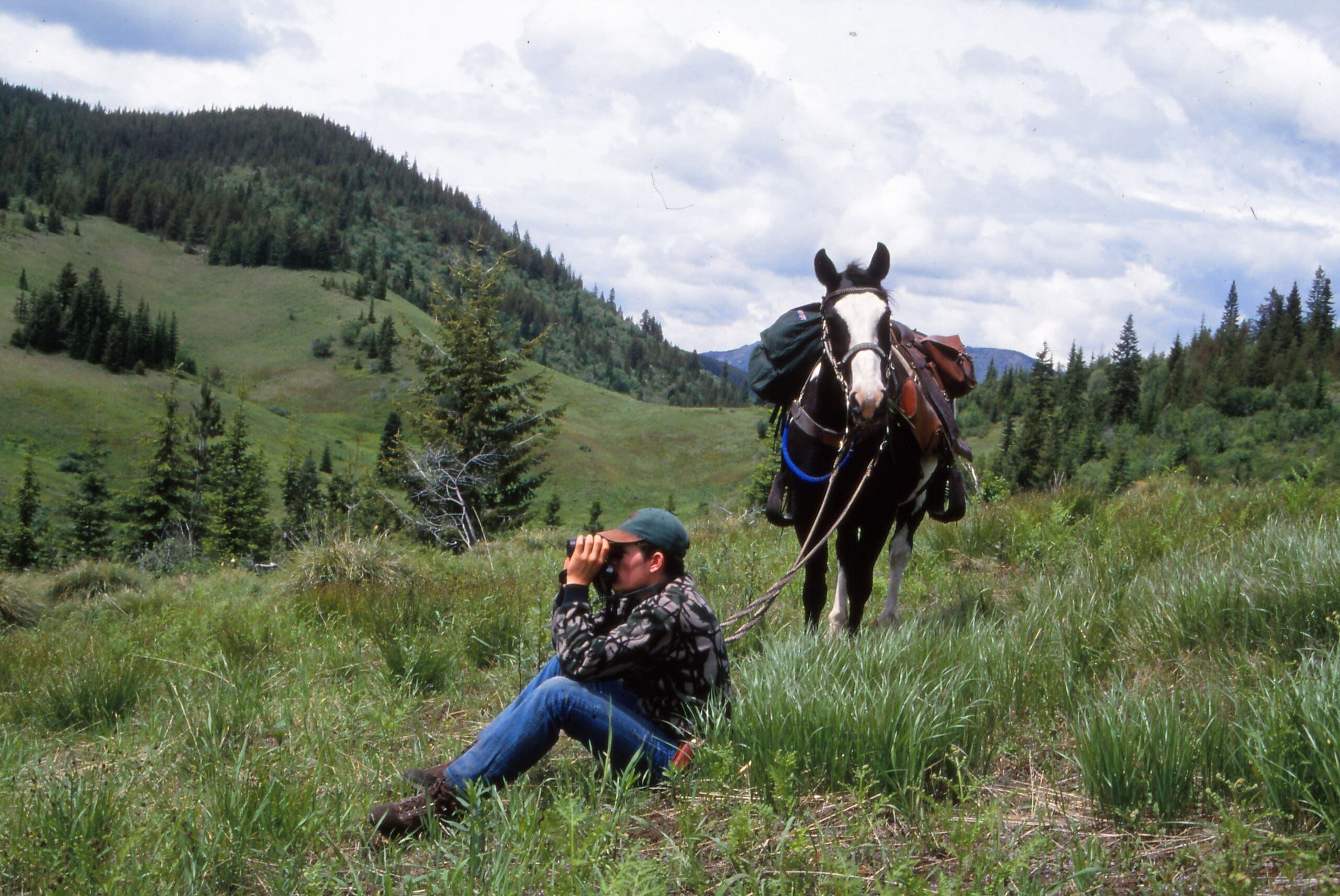 Annual spring bear hunts in the basin where my elk camp was located were truly special. The rolling terrain was ideal for an elk calving area and the bears came there for the elk calves.